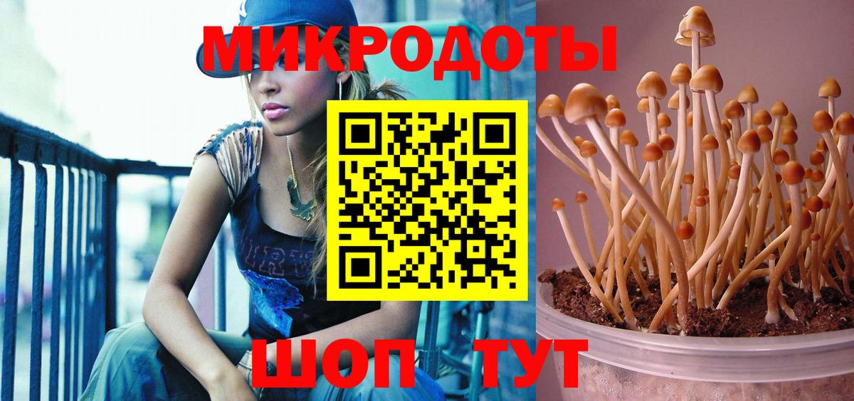 Псилоцибиновые грибы прущие грибы Свободный