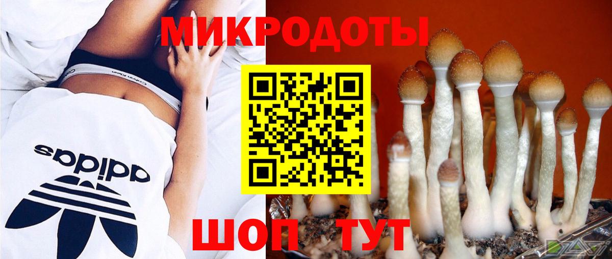 Свободный  Галлюциногенные грибы мухоморы  цены наркотик  Вход с VPN 